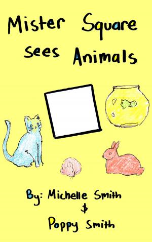 Cover of the book Mister Square Sees Animals by Michelle Smith, Poppy Smith