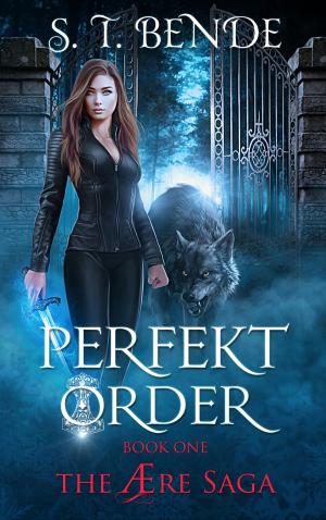 Book cover of Perfekt Order (The Ære Saga Book 1)