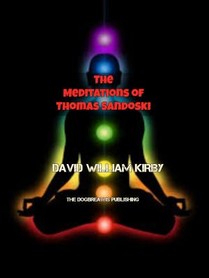 Book cover of The Meditations of Thomas Sandoski
