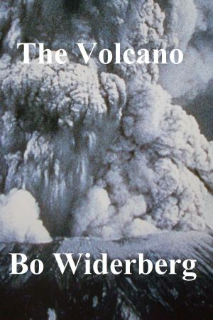 Cover of The Volcano by Bo Widerberg, Bo Widerberg