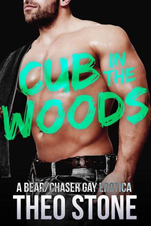 bigCover of the book Cub in the Woods by 