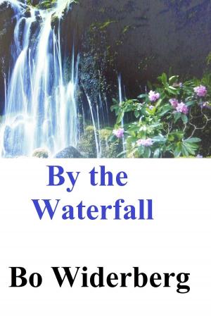 Cover of the book By the Waterfall by Linda Davies