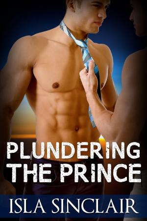 Cover of Plundering The Prince (m/m BDSM multiple partners)