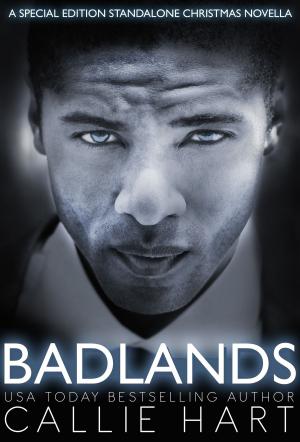 Cover of the book Badlands by Laura T. Johnson
