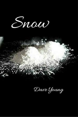 Cover of the book Snow by Owen Banner