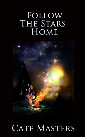 Cover of the book Follow The Stars Home by 