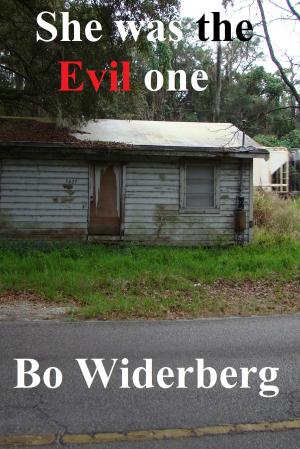 Cover of the book She Was the Evil One by Bo Widerberg