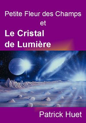 Book cover of Petite Fleur Des Champs Et Le Cristal De Lumière