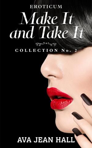 Cover of the book Eroticum: Make It and Take It by S.F. Riley