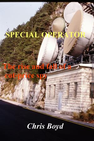 Cover of the book Special Operator: the Rise and Fall of a Cut-price Spy by Joseph E Abodeely