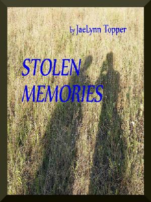 Book cover of Stolen Memories