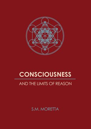 Cover of the book Consciousness and the Limits of Reason by Rachel Devenish Ford