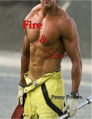 Cover of the book Fire & Lace by Desiree Love