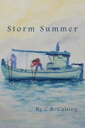 Book cover of Storm Summer