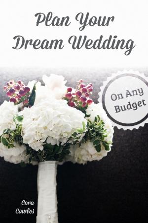 Cover of the book Plan Your Dream Wedding On Any Budget by Nikola Tesla