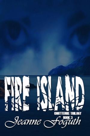Cover of the book Fire Island by Jacob Larch