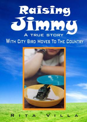 Book cover of Raising Jimmy