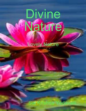 Cover of the book Divine Nature by Dr S.P. Bhagat