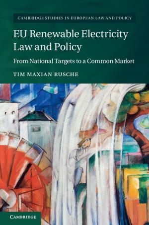 Cover of the book EU Renewable Electricity Law and Policy by 