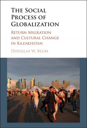 Book cover of The Social Process of Globalization