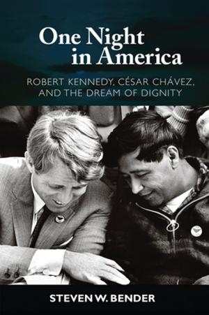 Cover of the book One Night in America by Søren Ervø, Thomas Johansson
