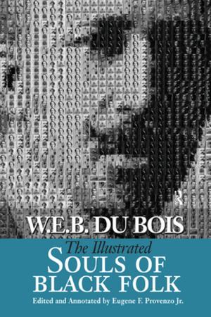 Cover of the book Illustrated Souls of Black Folk by Edwin Gentzler
