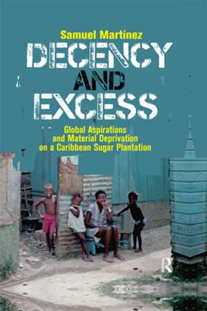 Cover of the book Decency and Excess by Sally R. Munt