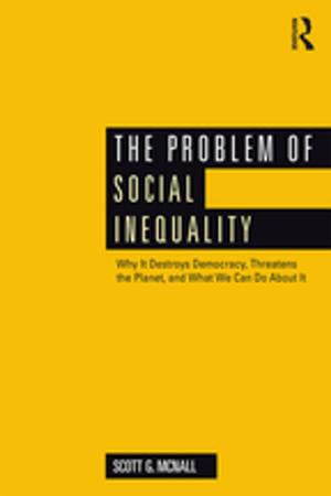 Cover of the book The Problem of Social Inequality by Russell T. McCutcheon