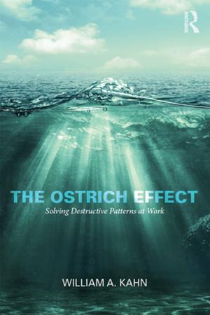 Cover of the book The Ostrich Effect by Shaun Gallagher, Dan Zahavi