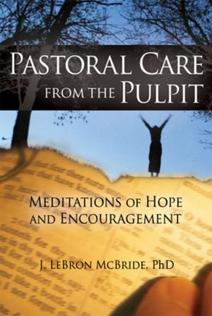 Cover of the book Pastoral Care from the Pulpit by Robert Hodson