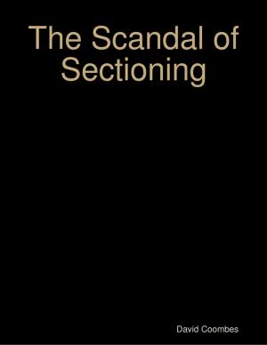 Cover of the book The Scandal of Sectioning by Karla Max