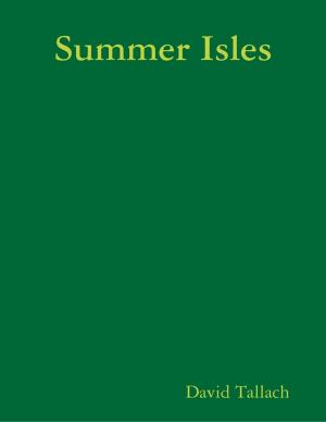 Cover of the book Summer Isles by Andy Moyle
