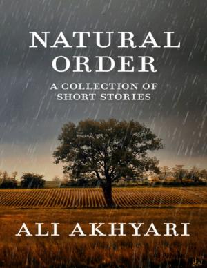 Cover of the book Natural Order by Jonathan David Sloate