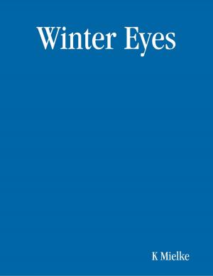 Book cover of Winter Eyes