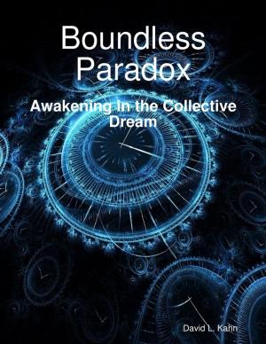 Cover of the book Boundless Paradox by Alexey Evdokimov