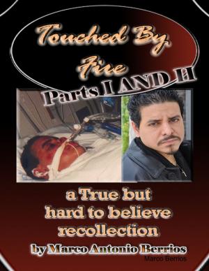 Cover of the book Touched By Fire: a True but Hard to Believe Recollection: Parts I and II by Pastor James Langston