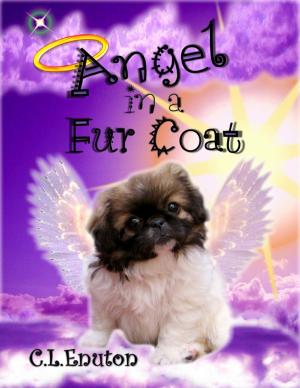 bigCover of the book Angel in a Fur Coat by 