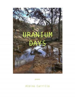 Cover of the book Uranium Days by Amanda J Sullivan