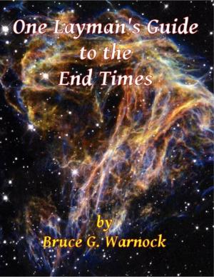 Cover of the book One Layman's Guide to the End Times by JRH
