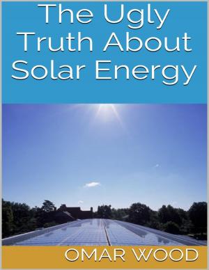 Cover of the book The Ugly Truth About Solar Energy by Goldmine Reads