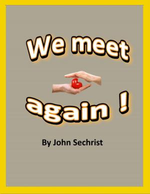 Cover of the book We Meet Again by Joy Renkins