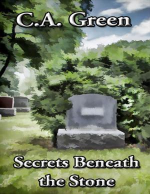 Book cover of Secrets Beneath the Stone