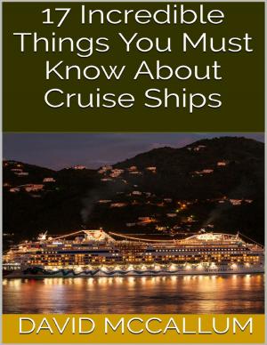 Cover of the book 17 Incredible Things You Must Know About Cruise Ships by Sally Ann Melia