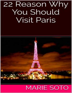 Cover of the book 22 Reason Why You Should Visit Paris by jrgeometry