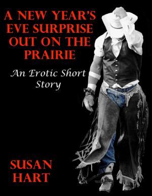 Book cover of A New Year’s Eve Surprise Out On the Prairie: An Erotic Short Story