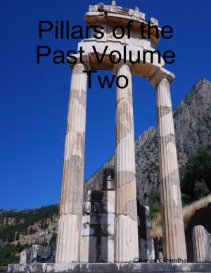 Cover of the book Pillars of the Past Volume Two by Robert Dave Johnston