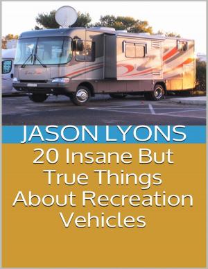 Cover of the book 20 Insane But True Things About Recreation Vehicles by Kimberly Vogel