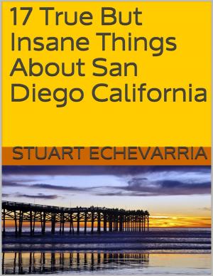 Cover of the book 17 True But Insane Things About San Diego California by Bill Stonehem