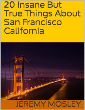 Cover of the book 20 Insane But True Things About San Francisco California by Harley Ramsey