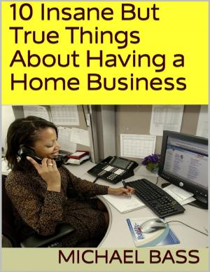 Book cover of 10 Insane But True Things About Having a Home Business